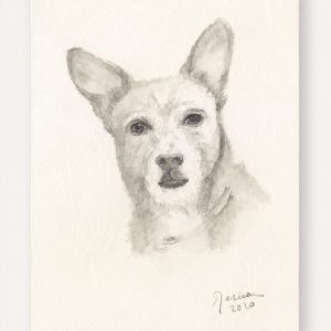 Quillo · Retrato a lápiz
