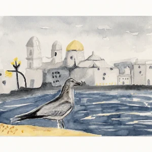 Gaviota frente a Cádiz