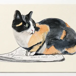 La gata sobre el periódico
