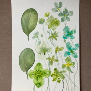 Herbario verde